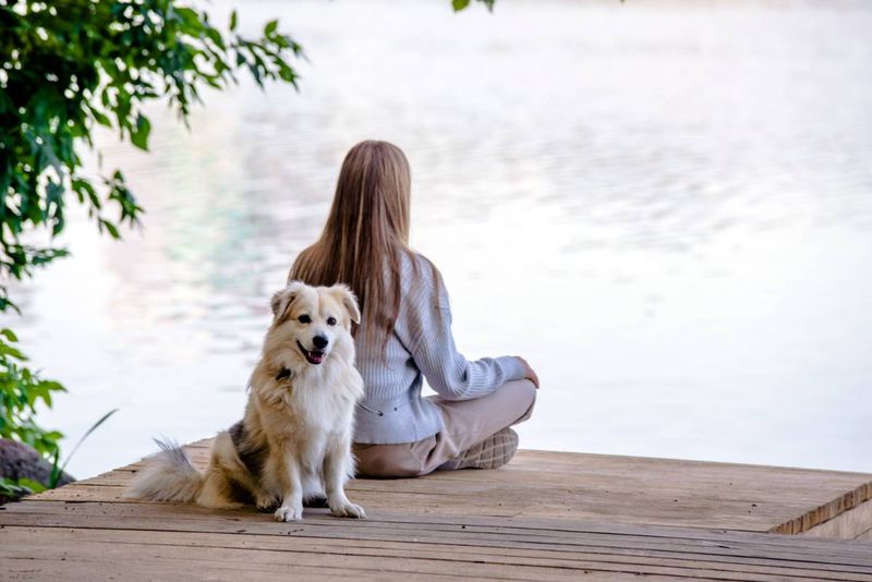 Mindfulness Teacher