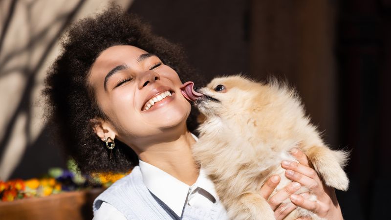 Licking Affectionately