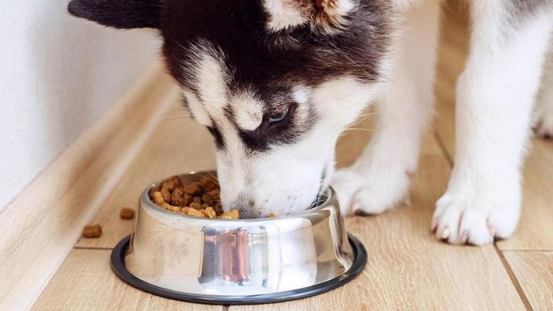 Digestive Efficiency