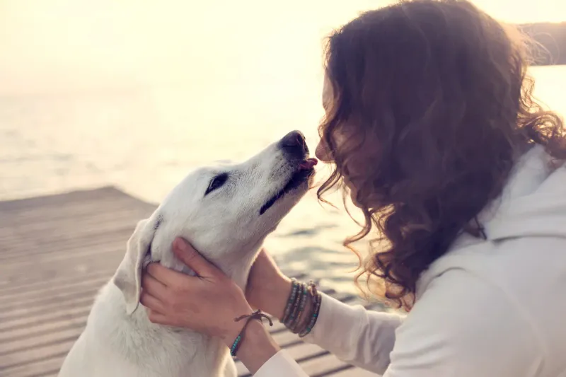 Encouraging Licks
