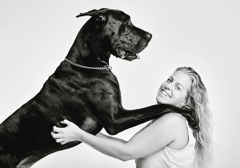 Great Dane