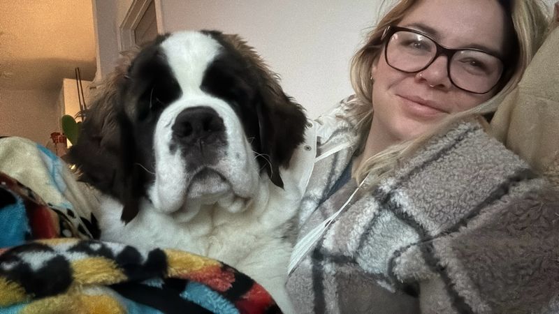 Saint Bernard