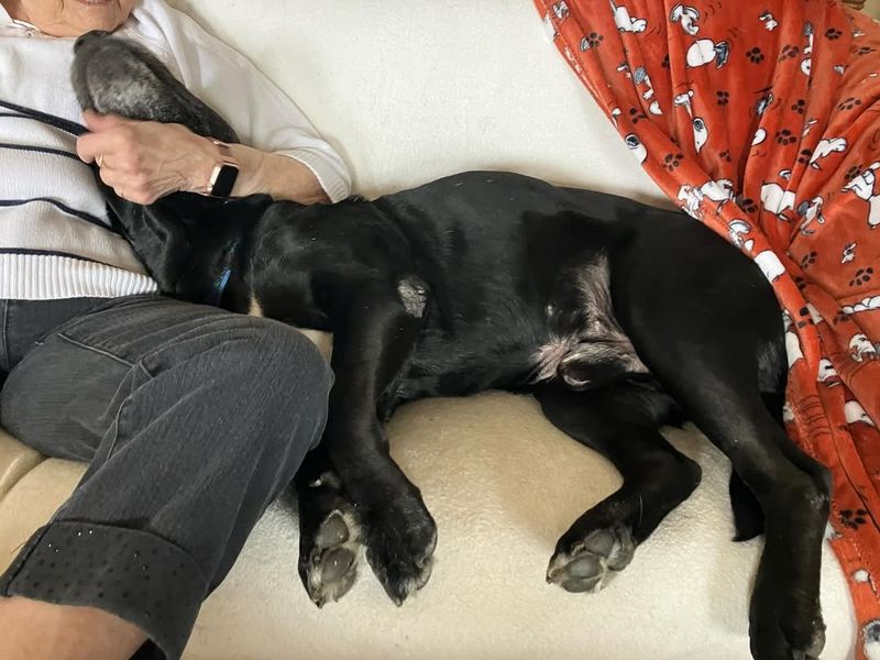 Snuggle Time
