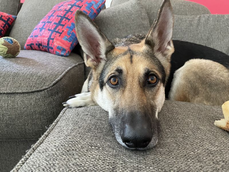 Ignoring Personal Space