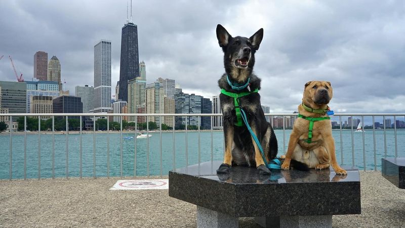 Chicago, Illinois