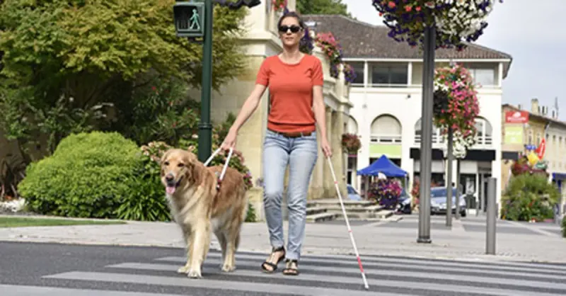 Guiding the Blind