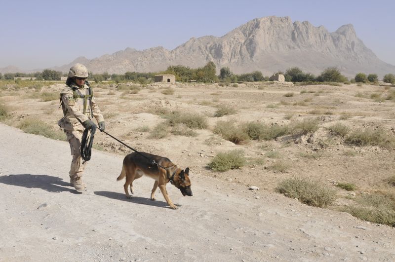 Search for Improvised Explosive Devices (IEDs)