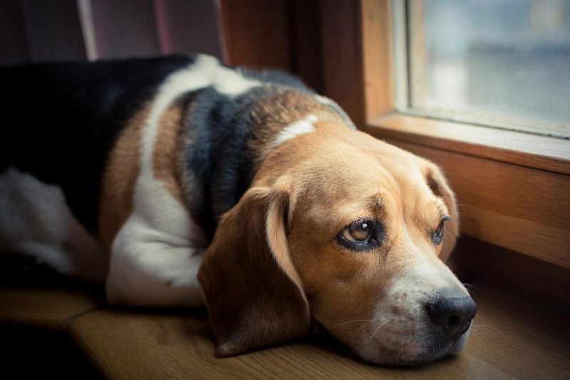 Severe Lethargy
