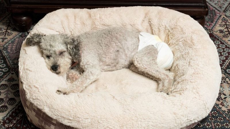 Loss of Bladder Control