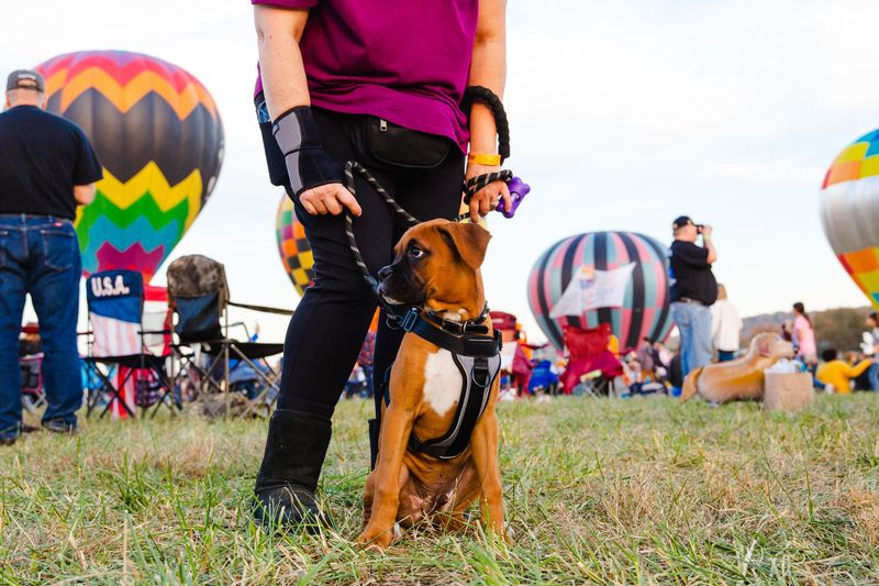 Hot Air Balloon Adventure