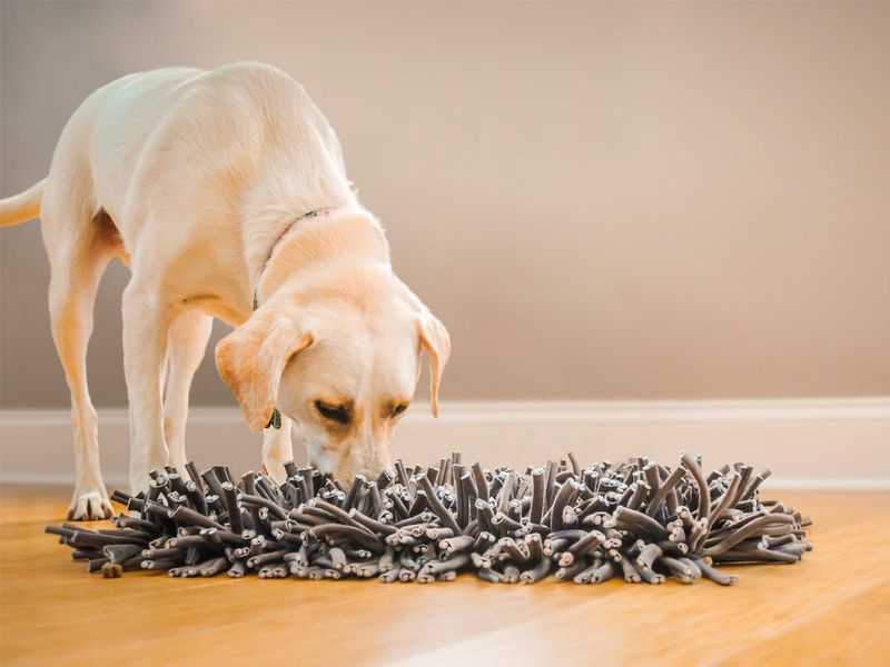 Snuffle Mats