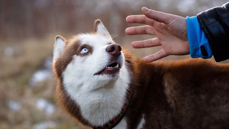 Negative Reinforcement