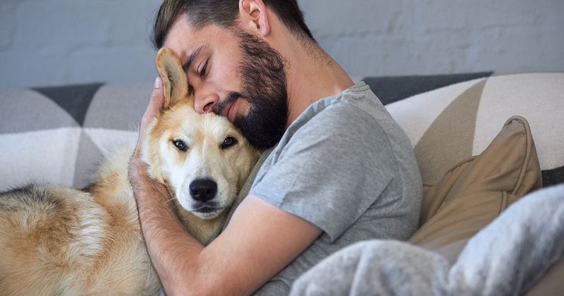 Seeks Comfort When Stressed