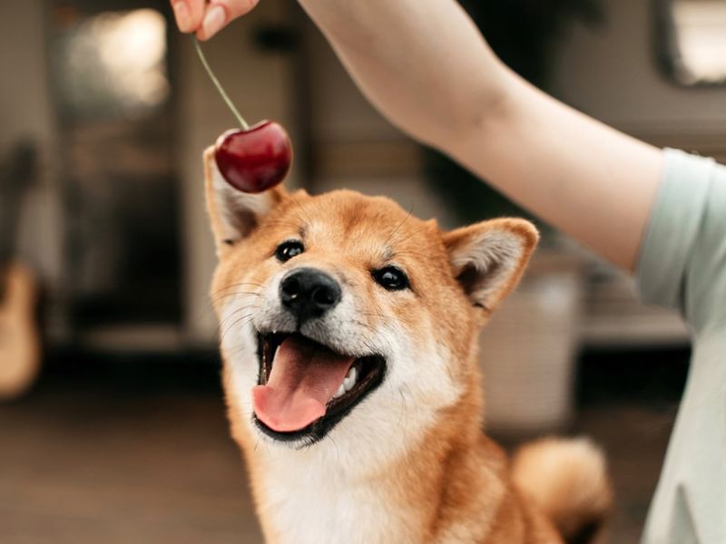Cherries