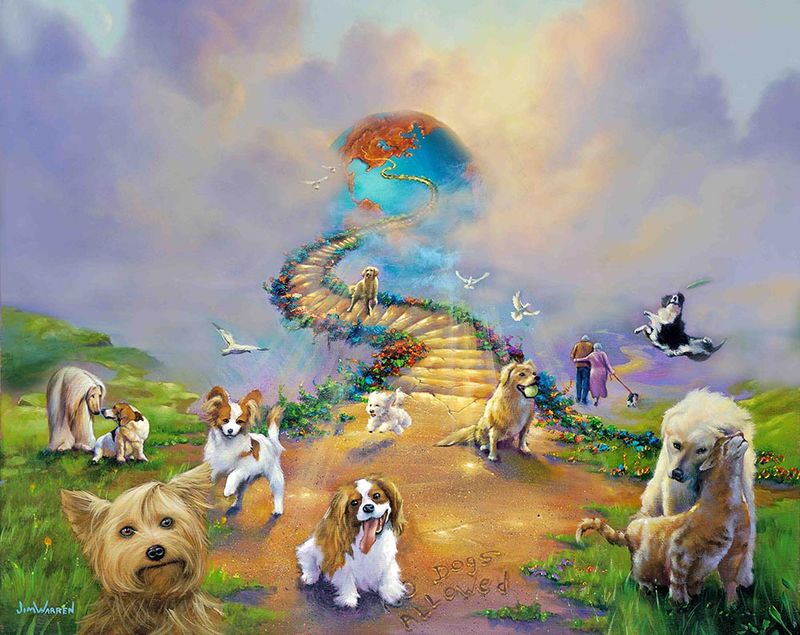 Animal Kingdom in Heaven