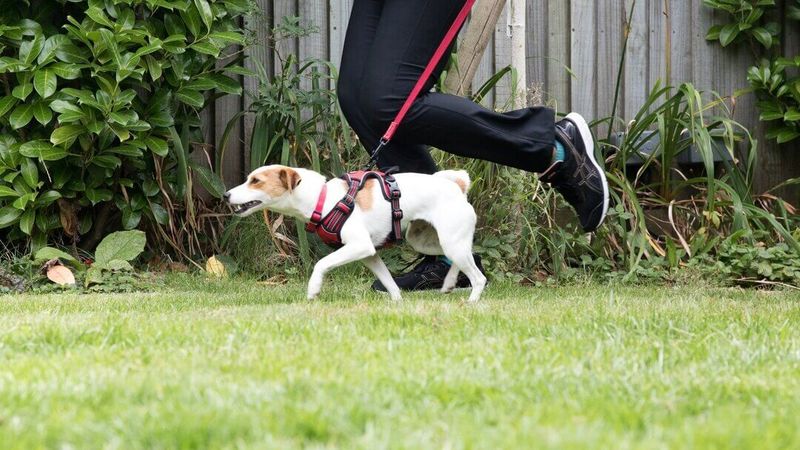 Personal Trainers