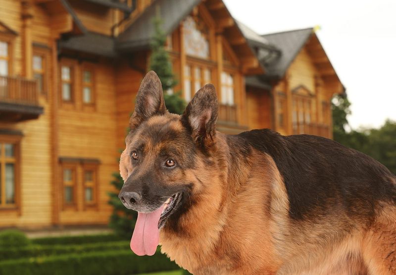 Security and Safety