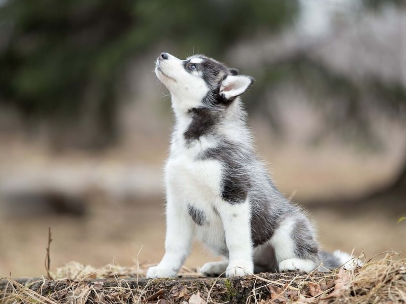Practicing Mindfulness
