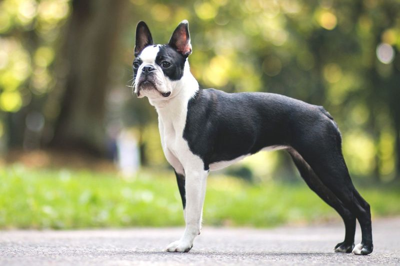 Health-Conscious Breed