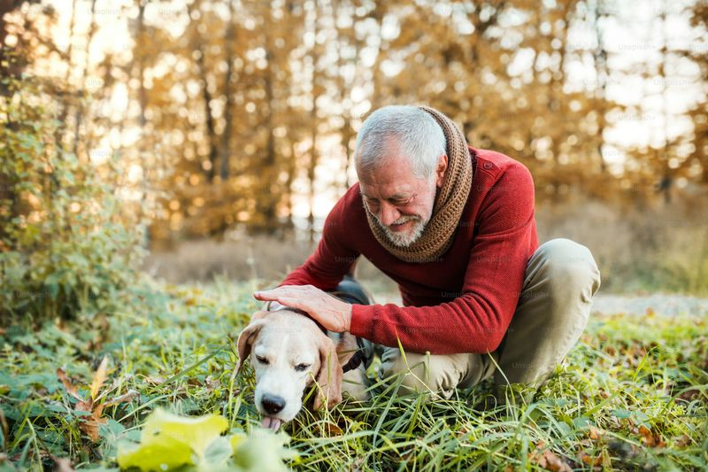 Companionship in Grief