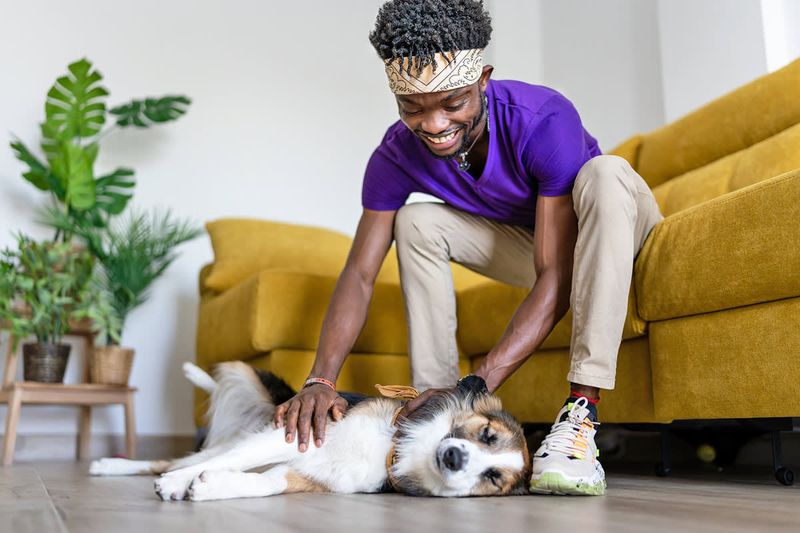Playful Behavior