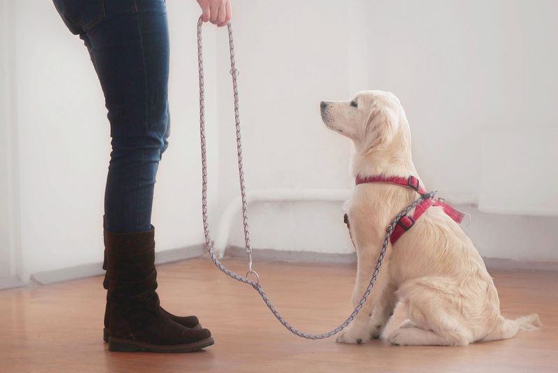 Avoiding Negative Reinforcement