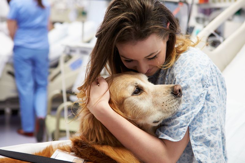 The Healing Power of Dogs