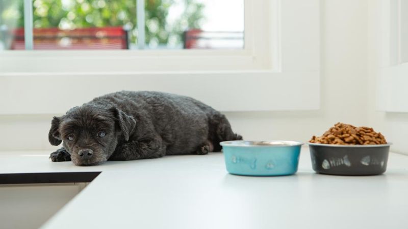 Loss of Appetite
