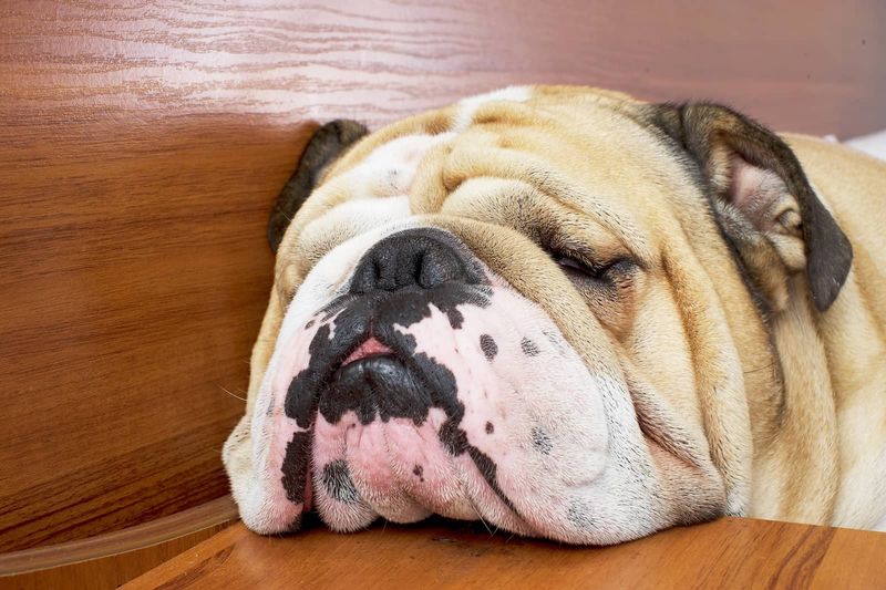 Sudden Snoring