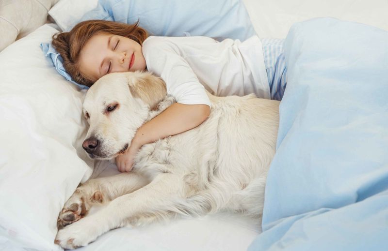 Cuddling and Snuggling