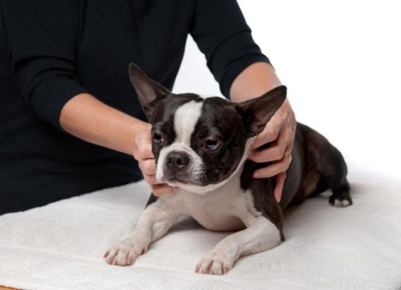 Use of Calming Techniques