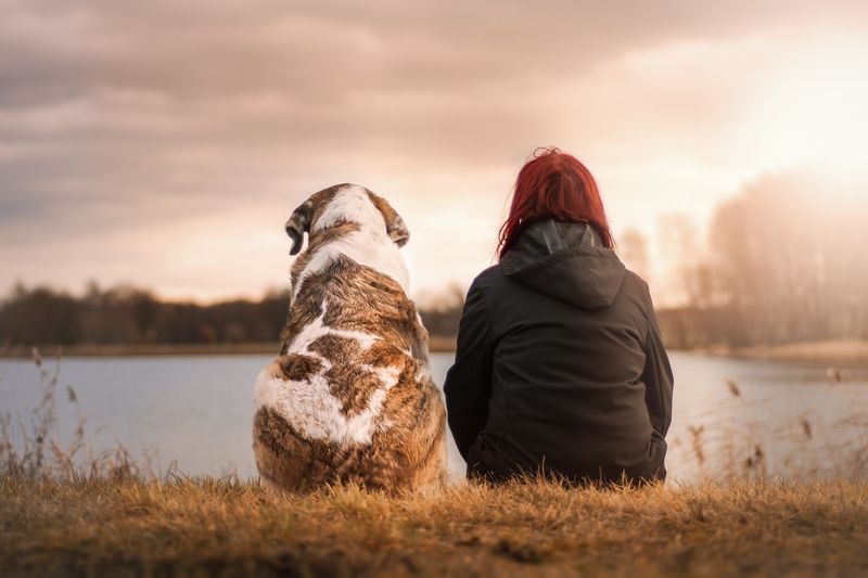 Mindfulness and Living in the Moment