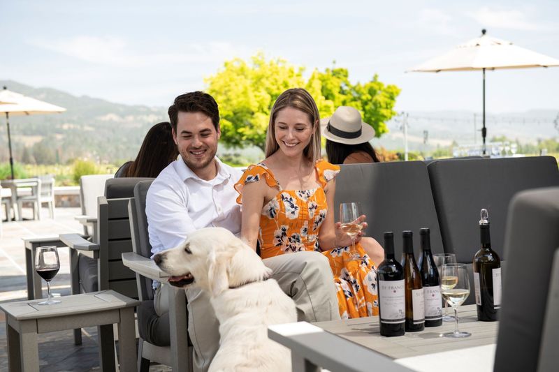 Wine Tasting with Canine Companions