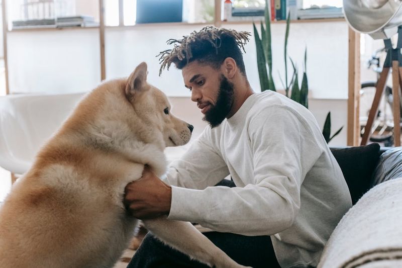 Quality Time with Human