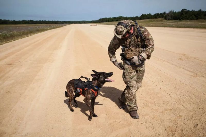 Search and Rescue