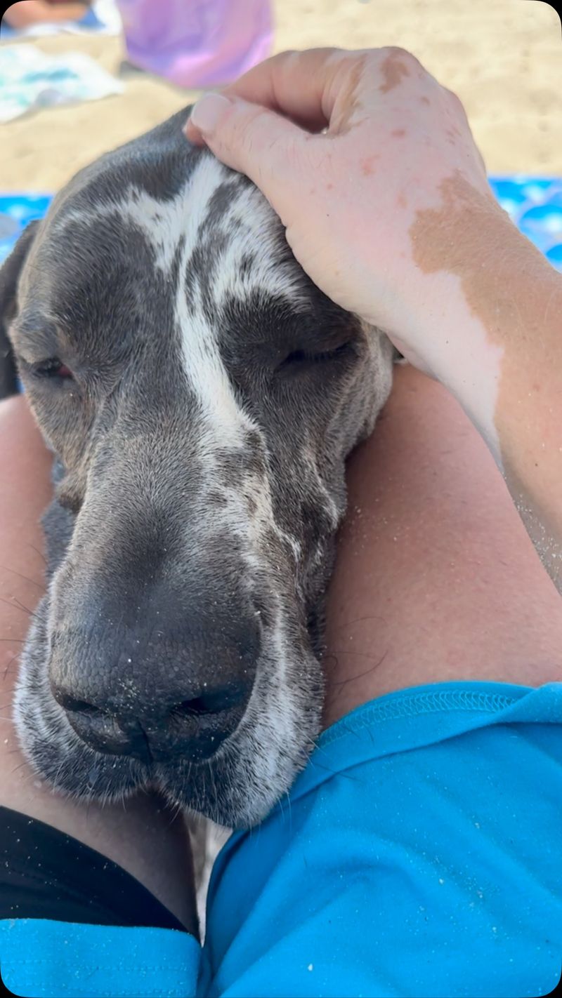 Gentle Head Resting
