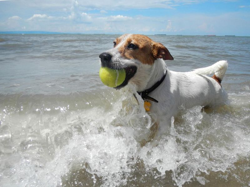 Beach Day Fun