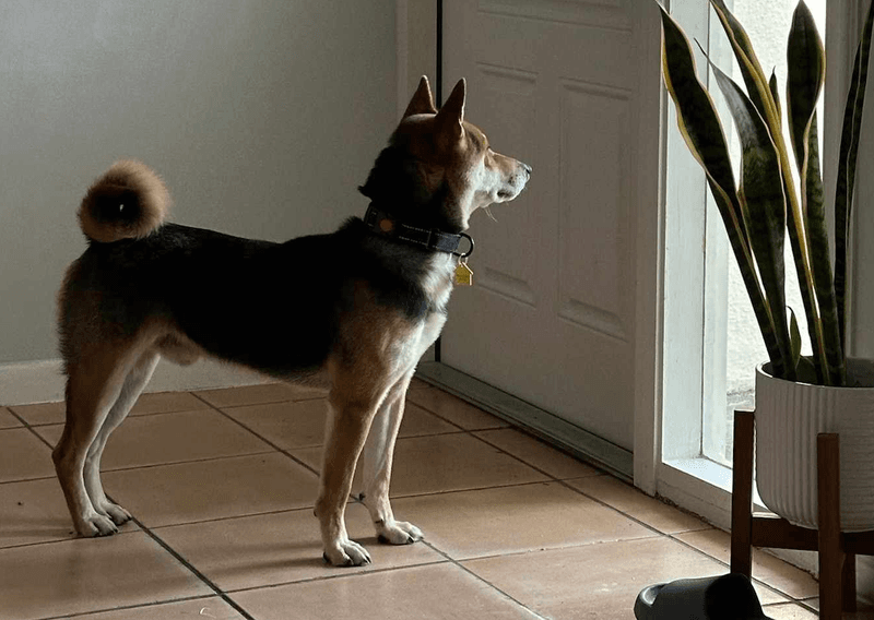 Waiting Patiently