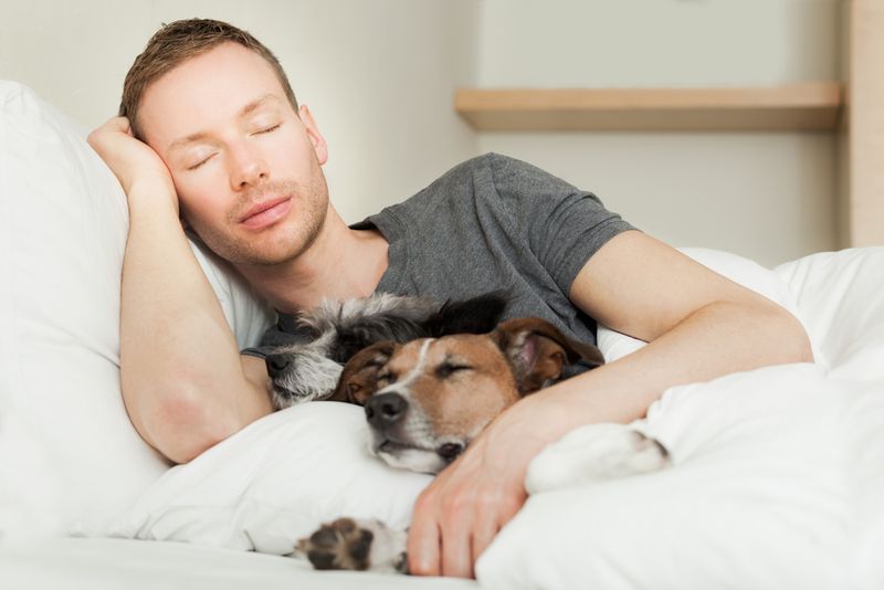 Sleeping Next to You