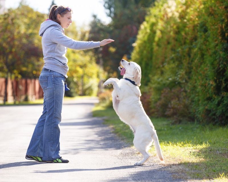 Excited to See You
