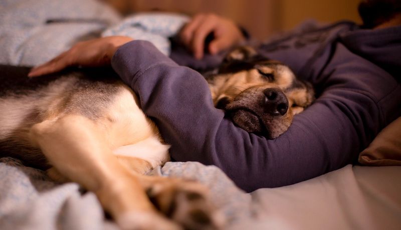 Curling Up Beside You