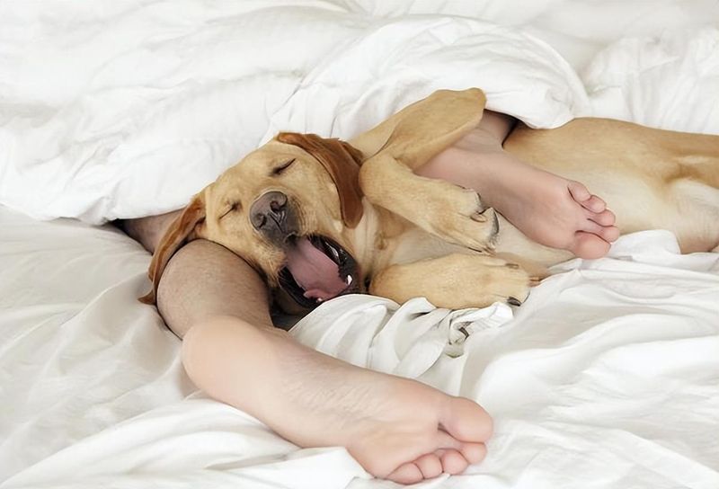 Sleeping Next to You
