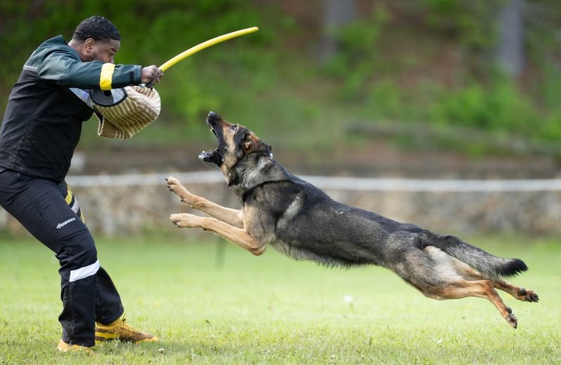 Protective Instincts