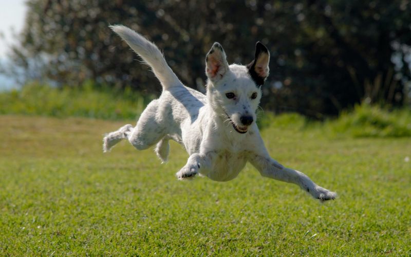 Living with Enthusiasm