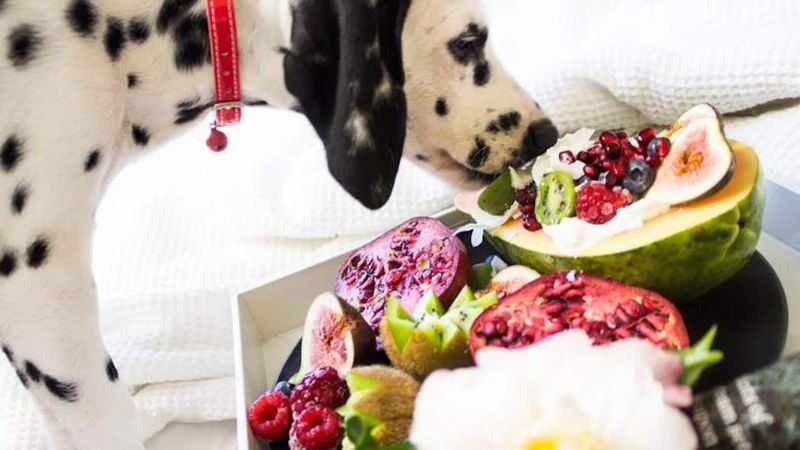 Sensitivity to Diet