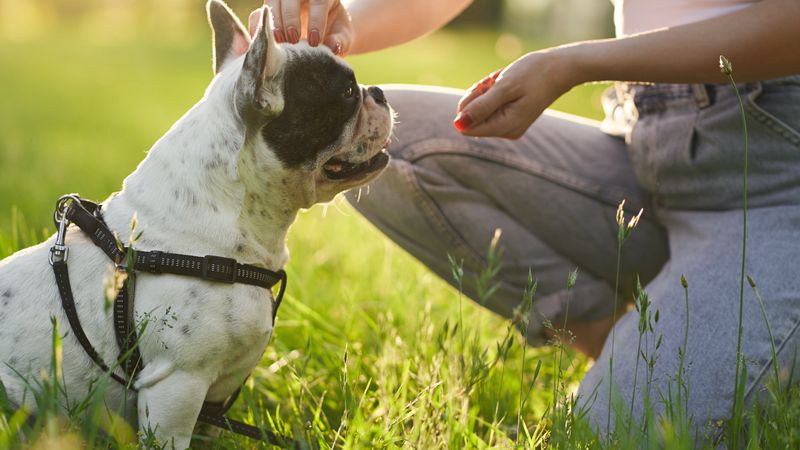 Patience with Training