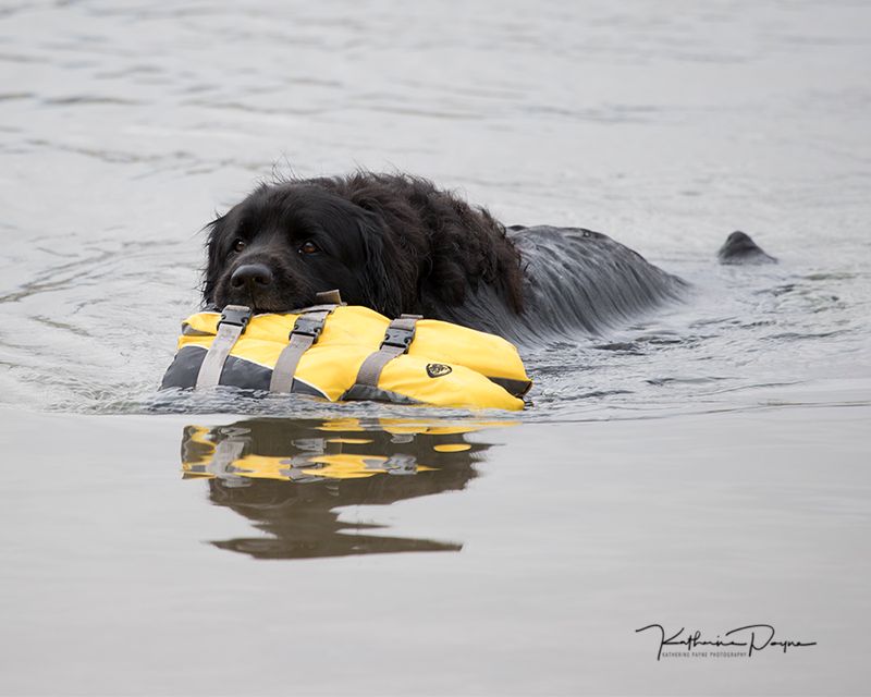 Newfoundland