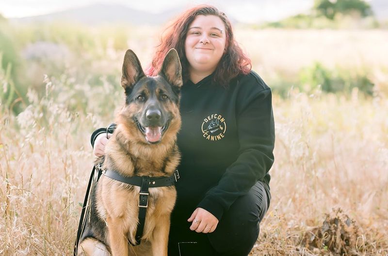 German Shepherd