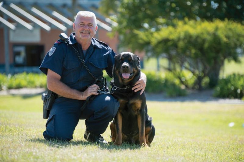Rottweiler