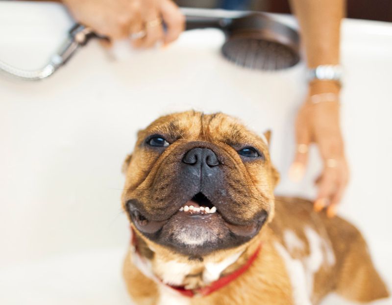 Positive Reinforcement Techniques
